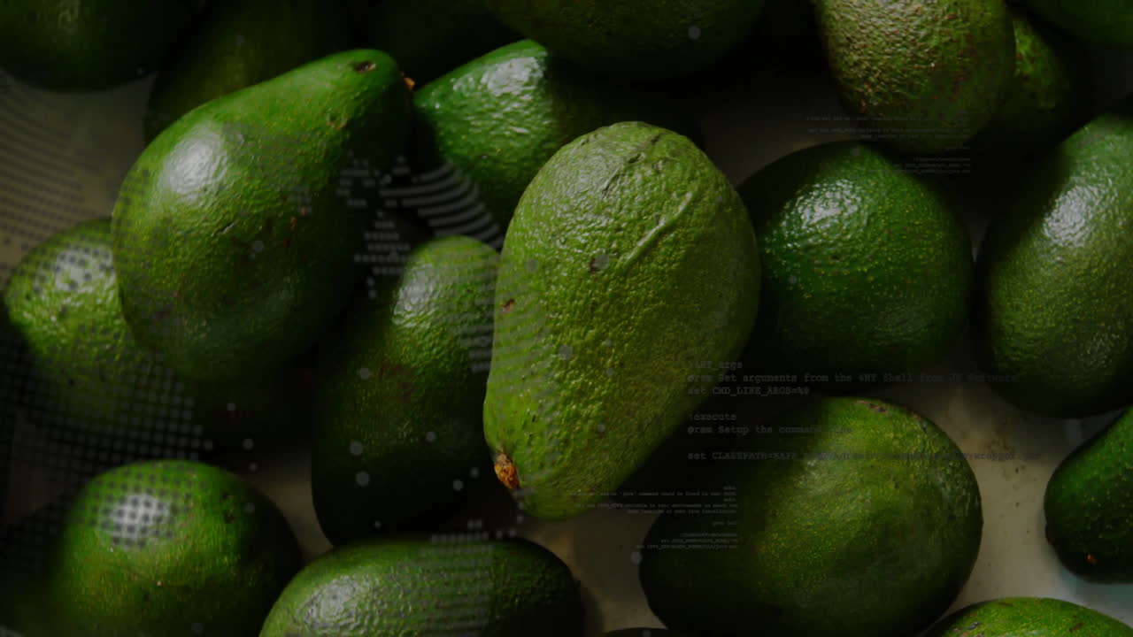 Avocado con sovrapposizione di animazione di elaborazione dati digitale in un mercato di prodotti freschi
