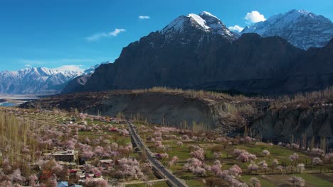 Profile-view-of-blossom-in-a-city-of-Skardu,-Pakistan-with-Himalayas-at-background