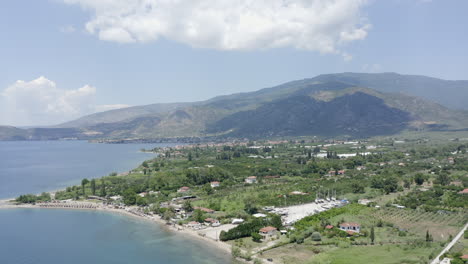 rising aerial over olive groves outside greek city of agia marina