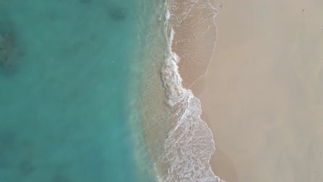 ascending aerial top down showing beach, turquoise water and shore of gili meno island