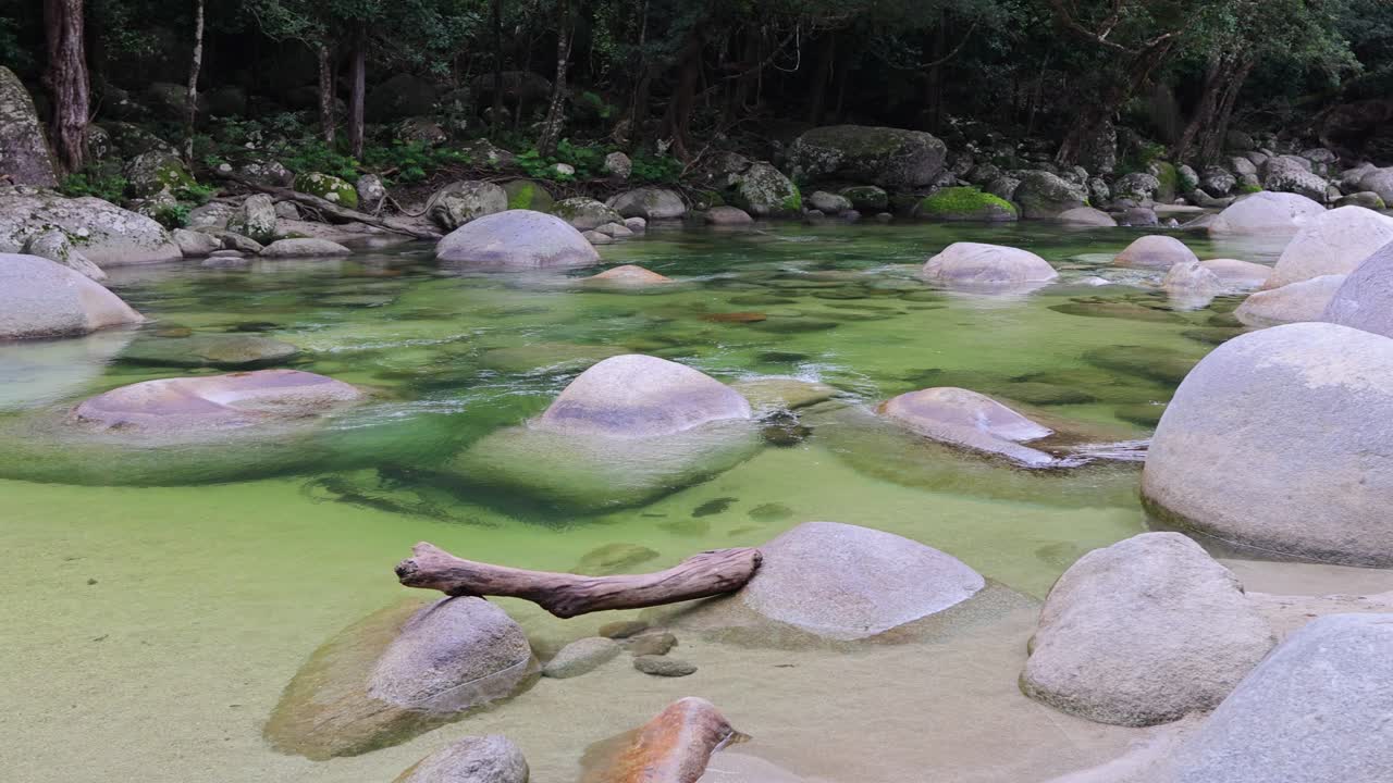 Tranquil creek with smooth stones and green water in Daintree Rainforest. Soft lighting enhances the peaceful, natural setting
