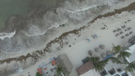 Sargassum-Algen-Am-Strand-Von-Playa-Del-Carmen-Quintana-Roo-Mexiko-8