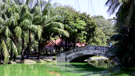 escena del parque con puente sobre el estanque