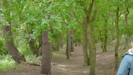 oak tree forest nature men mental health walk outdoor exercise hike trek