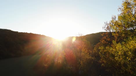 Aerial-epic-drone-shot-of-sun-rays-in-grass-field-surrounded-by-forest-at-sunset-7