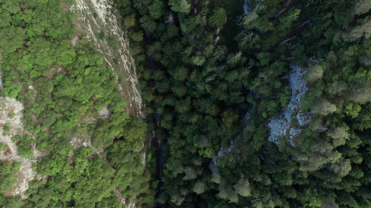 Overhead drone footage of a narrow river cutting through a dense mountain forest and rocky canyon. Ideal for nature, environment, conservation, travel, and landscape projects