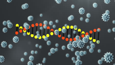 animación de las células de covid-19 y hilado de cadena de adn