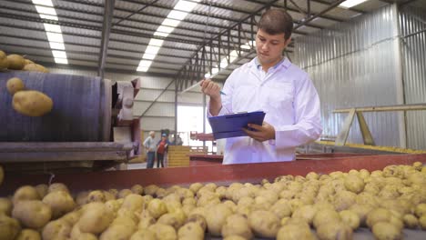 agricultural engineer working in potato storage and packaging facility.