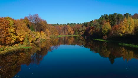 Buntes-Herbstwaldholz-Am-See