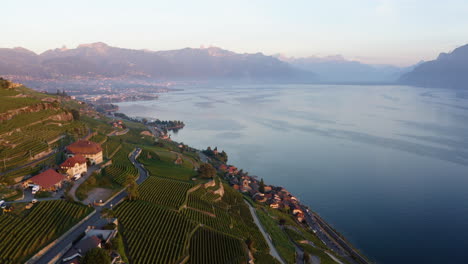 Magnificent-Mountain-And-Lake-View-Of-Vineyards-And-Houses-Near-Saint-Saphorin-village-Switzerland---lateral-descending-Aerial-shot