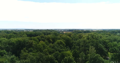 Fliegen-über-Waldbäume-Natur-Luftaufnahmen-3