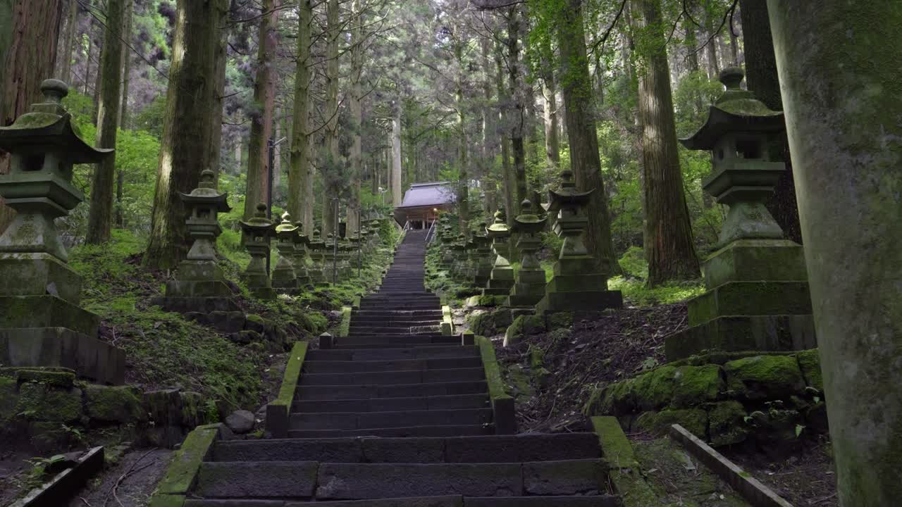 Slow motion push-in through torii gate at Shrine inside mysterious lush forest