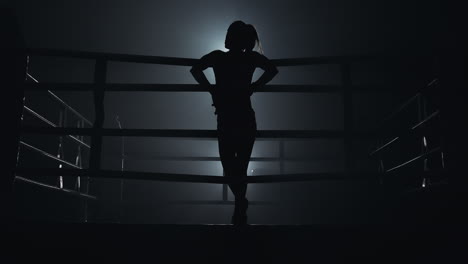 Dramatic Silhouette of an Athlete in a Boxing Ring