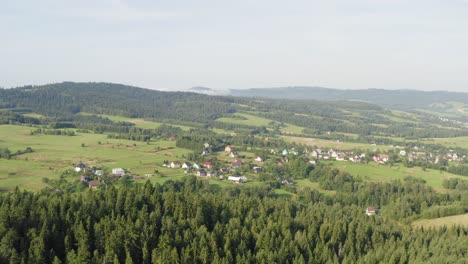 flying over forest in poland with houses, glorious trees, and clear white sky - aerial shot