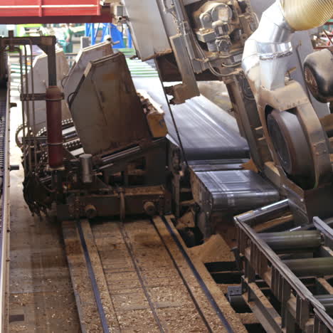 modern woodworking plant. process of robotic machinery on a sawmill. industrial equipment working with tree trunks.
