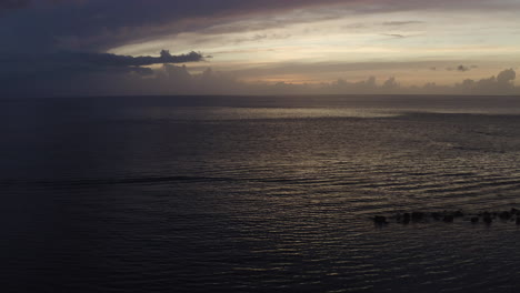 the camera flies past silhouetted palm trees over the caribbean ocean at sunset - ostiones puerto rico