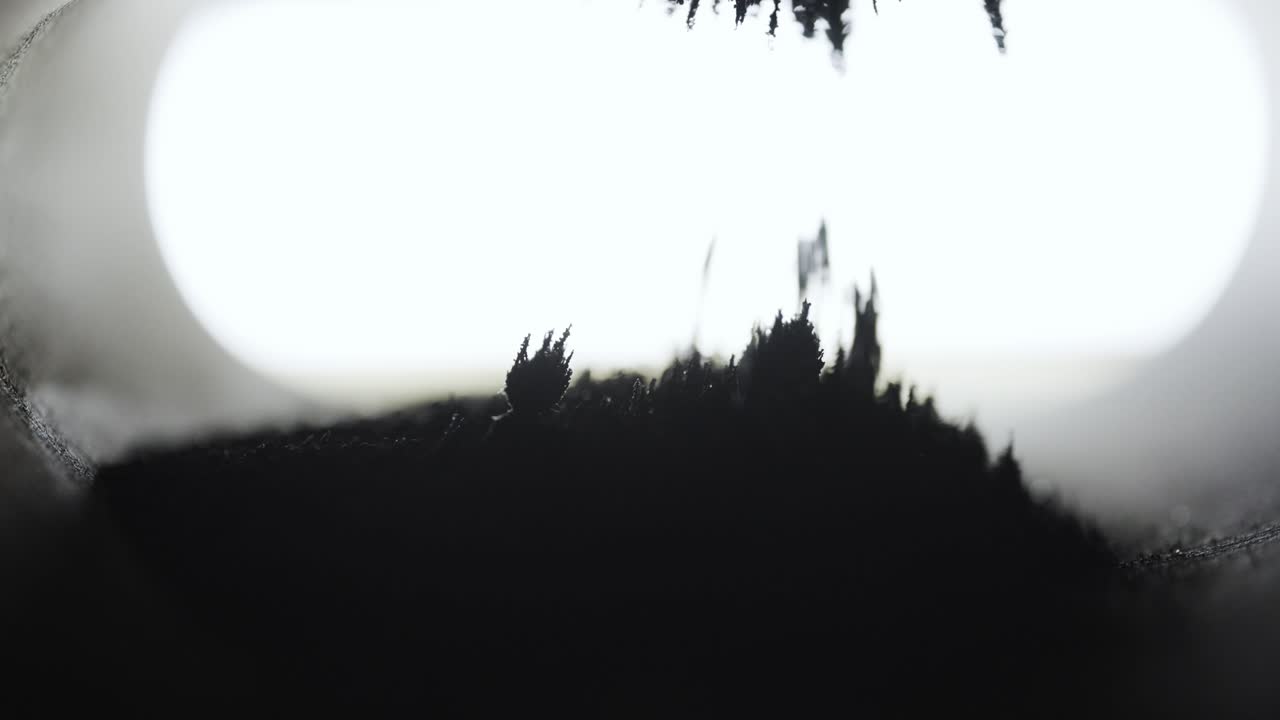 Iron Dust Forming Spikes With Magnetic Pull