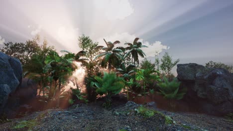 sunset beams through palm trees