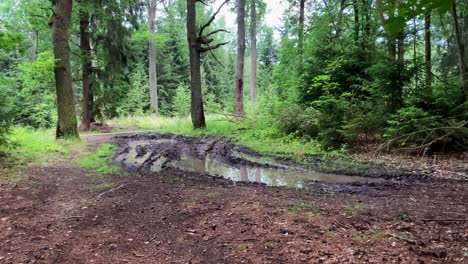 Spuren-Von-Lastwagen-Im-Schlamm-Im-Wald