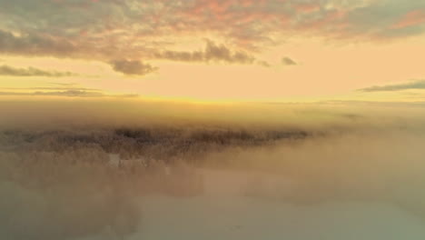 Fog-Over-Coniferous-Forest-At-Winter-During-Golden-Hour