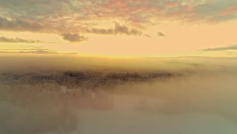 fog over coniferous forest at winter during golden hour