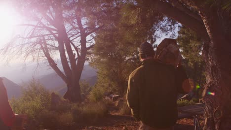 Un-Grupo-De-Amigos-Entra-En-Un-Camping