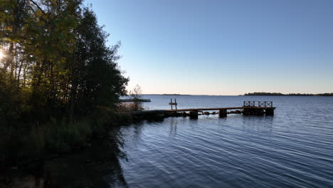 flight over the wooden water pier, swan swims in the water, aerial nature landscape