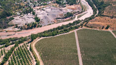 Drone-Sobrevuelo-Famosos-Viñedos-Chilenos-Hileras-Junto-Al-Río-Maipo,-Chile