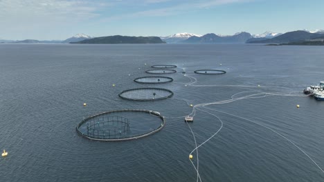 flyover above aquatic pens at atlantic salmon farm in norway