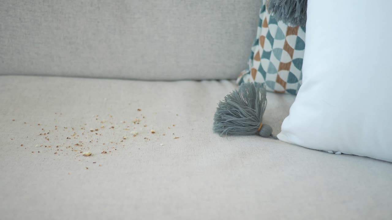 Crumbs on a couch
