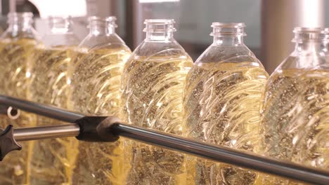 sunflower oil in the bottle moving on production line. bottling line of sunflower oil in bottles. vegetable oil production plant. high technology. industrial background