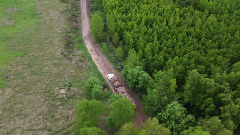 aerial tops down truck after deforestation, transporting wood, logging industry vehicle
