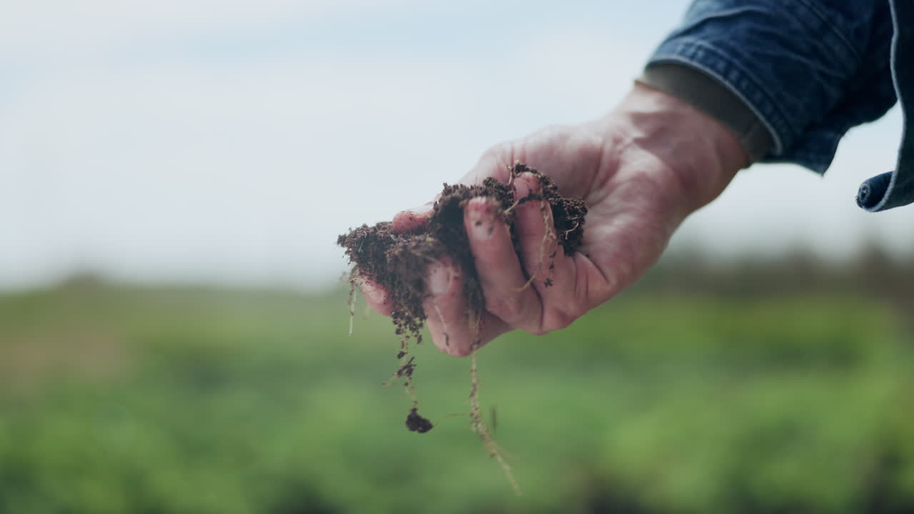 Farmer holding soil sample