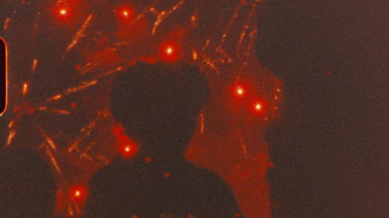 Fireworks display with people