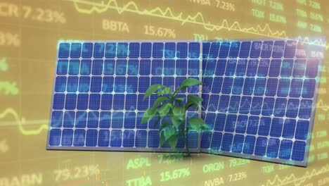 animación del procesamiento de datos financieros sobre paneles solares y planta sobre fondo amarillo.