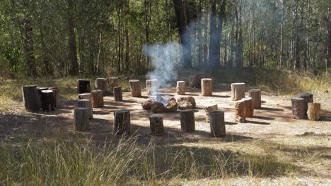 tree stumps surrounding the campfire with smoke - camping area in the forest - mount byron, queensland, australia