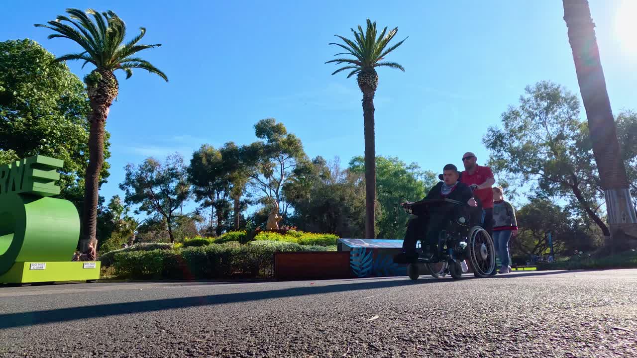 나무 와 는 사람 이 있는 공원