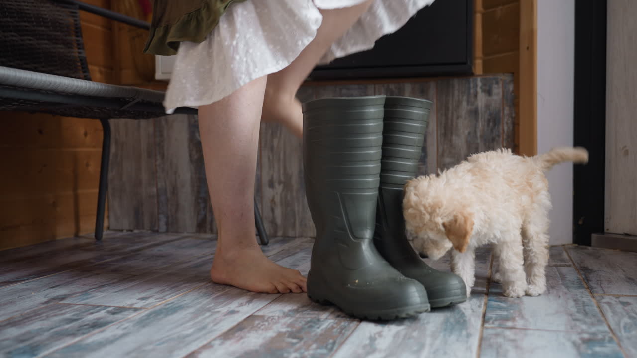 Leg view of owner barefoot standing on wooden threshold holding green work boots near door as curly puppy with wagging tail watches intently in cozy indoor setting under soft natural light