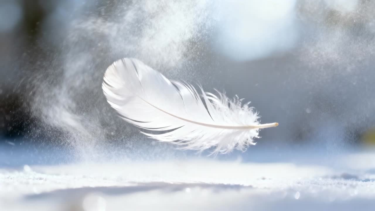 Piuma bianca singola che fluttua e scende sulla neve, leggera brezza che crea un vortice di polvere, che si posa