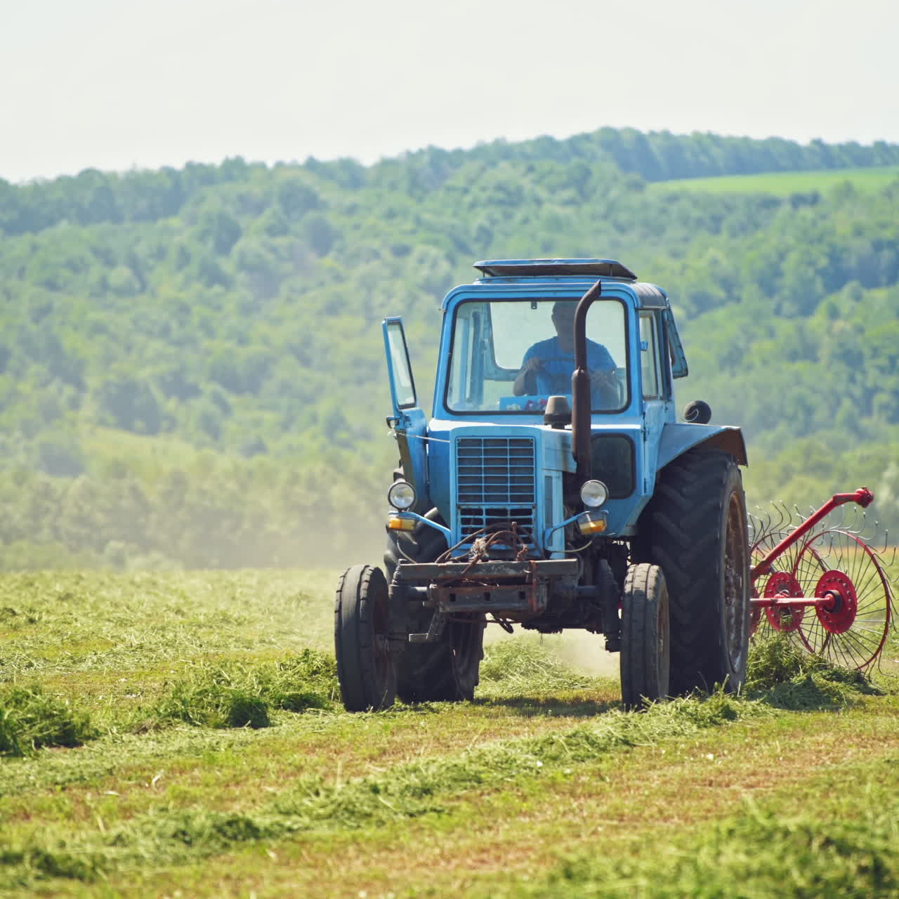 Front view of a tractor working on the field in summer. Agricultural machine changing dried grass on the natural field background.