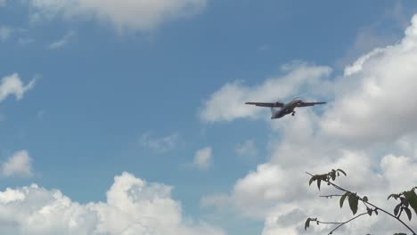 Avión-Despegando-Sobre-Los-árboles-En-Un-Día-Soleado