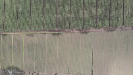 recorrido aéreo por etapas finca tabacalera con drone