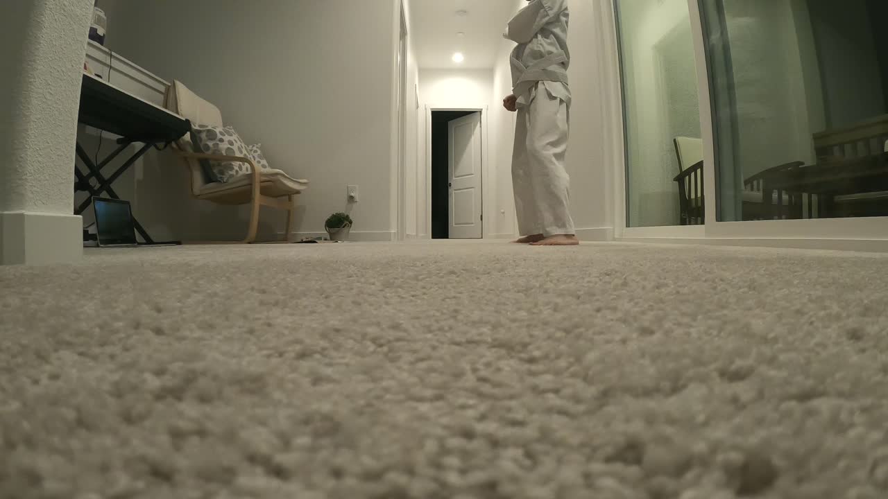 clase virtual de kárate para niños