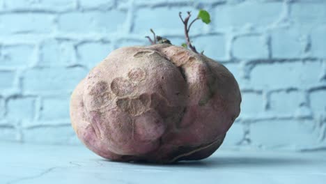 closeup of a sweet potato