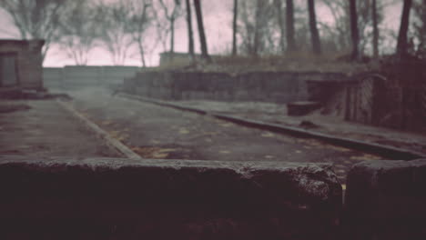 old abandoned garages in the forest