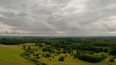 aerial view of forest in an overcast weather day