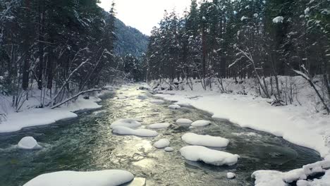 Beautiful-snow-scene-forest-in-winter.-Flying-over-of-river-and-pine-trees-covered-with-snow.