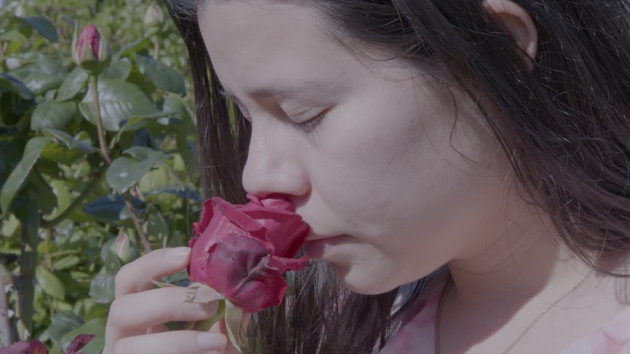A serene scene as a woman delicately examines a vibrant red rose in a sunlit garden, capturing the essence of nature's beauty with soft lighting and a tranquil atmosphere