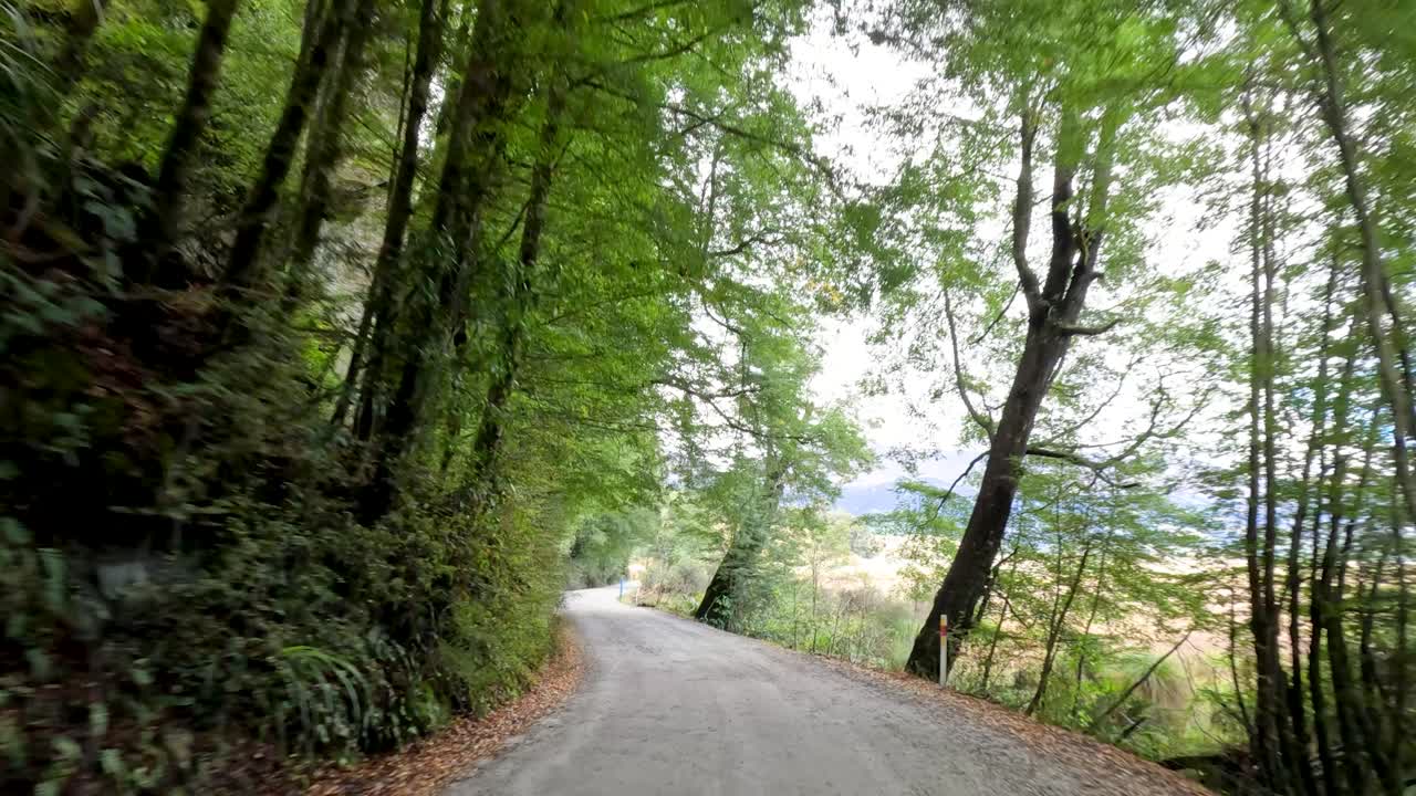 Vehicle travels winding forest road with mountain views, natural daylight, and smooth forward camera movement