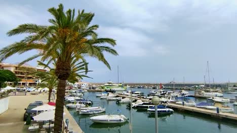 Harbor-with-small-ships-in-Cala-Ratjada-with-small-boats-moored-in-the-sea-and-a-beautiful-palm-tree